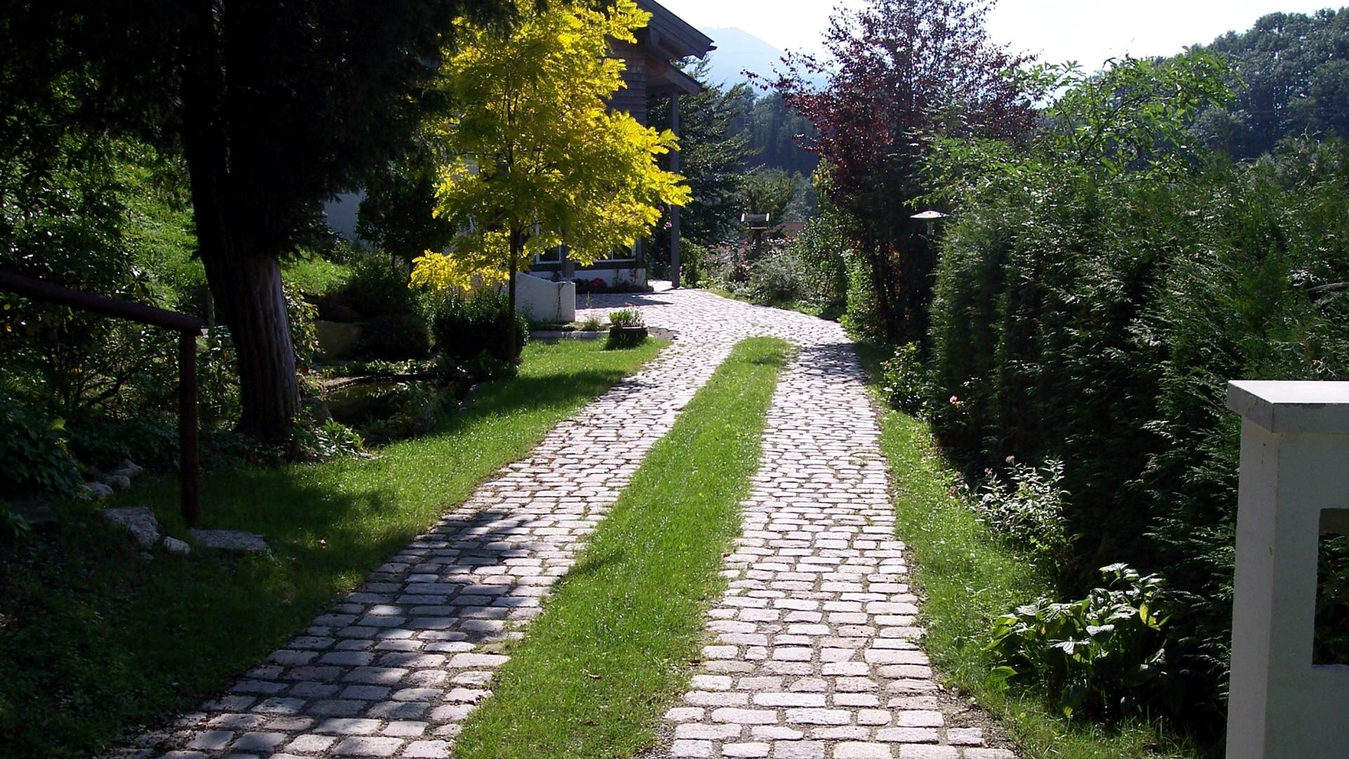 Waldweg Stein